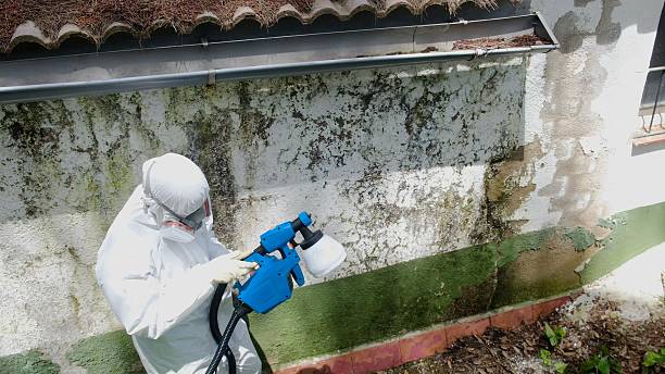 Top rated local Black Mold Remediation specialists in Cameron, NC
